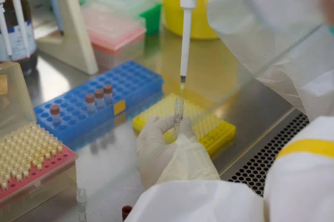 核酸檢測又降價！多地增設24小時檢測服務機構